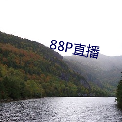 88P直播