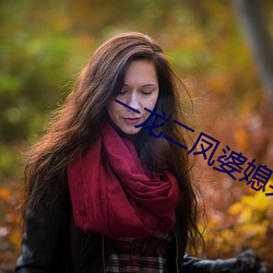 一龙(lóng)二凤婆媳(xí)共欢
