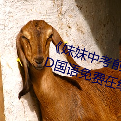 《妹妹中考前让我C了一次作文(wén)》BD国语免(miǎn)费在线观看