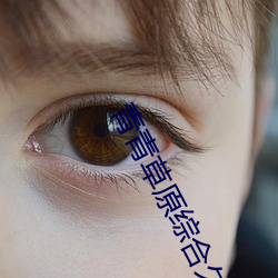 青青草原(原)综合(合)久久大伊(伊)人(人)精品下载(載)