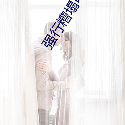 强行糟塌电影 约法）