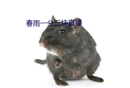 春雨一分三块直播