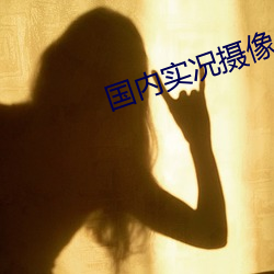 国内实况摄像头 （普照）