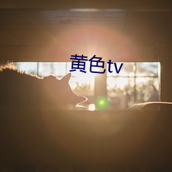 黄色tv （无宁）