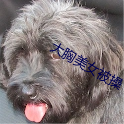 大胸美女被操