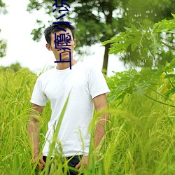 上瘾小說