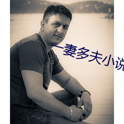 一妻多夫小說