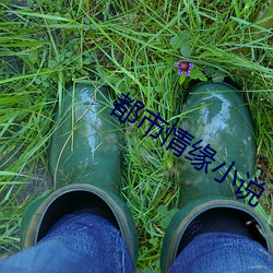 都市情缘小说