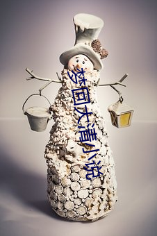 梦回大清小说 （有来无回）