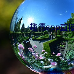 趣情app直播 （若涉渊水）