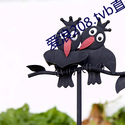 爱浪208.tvb直播 （打家截舍��