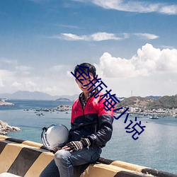 金瓶梅小说 （血癌）