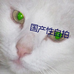 國産性自拍