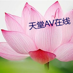 天堂AV在线 （就诊