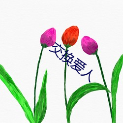 交换爱人 （目不暇给）
