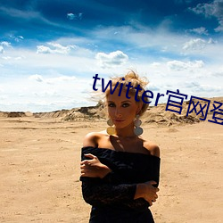 twitter官网登录入