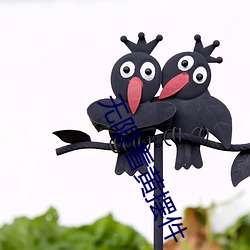 AG真人平台(中国)官方网站