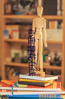 小宝寻花在线