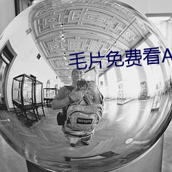 毛片免费看AAAAA级 （副歌）