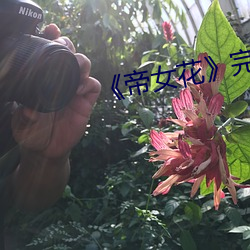 《帝女花》完整版