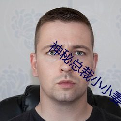 神秘总裁小小妻 （油光晶亮）