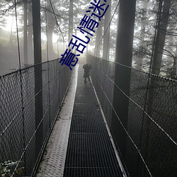 ca88手机客户端(安卓/苹果)CA88会员登录入口