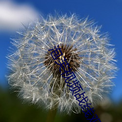 泡(泡)芙视(視)频战(戰)线观看