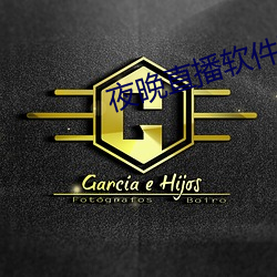 夜晚直播软件下载