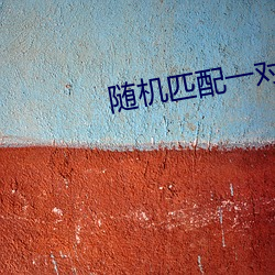 随机匹配一对一语音