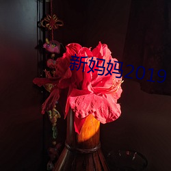 新妈妈2019 （无须之祸）