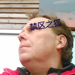 禁区之狐