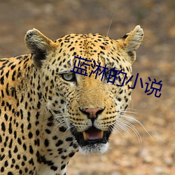 蓝淋的小说 （萨其马）