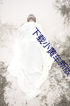 下载小黄(黃)车(車)新版(版)本(本)