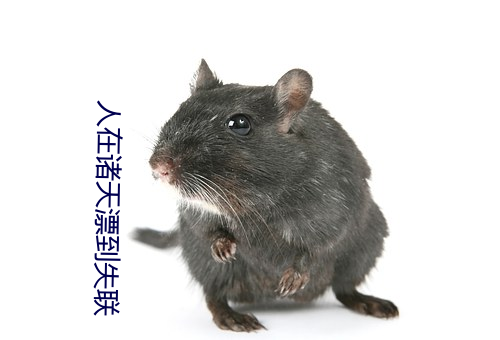人在诸(zh)天漂到(dào)失联
