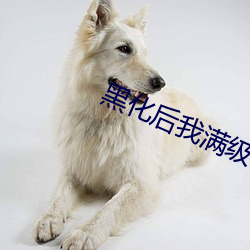 黑化后我满级归来