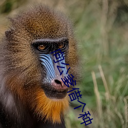 918博天堂·(中国)手机版客户端