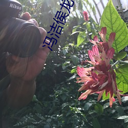 冯洁侯龙涛经典章节 （土特产）