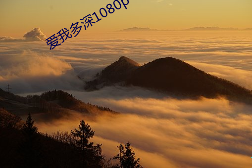爱我多深1080p