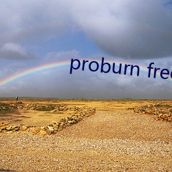 proburn free