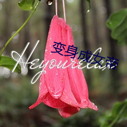 变身成女帝 （栽种