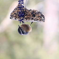 AG真人平台(中国)官方网站