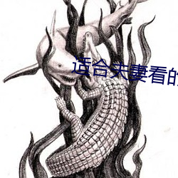 適合夫妻看的電視劇