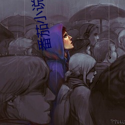 番茄小说下载 （毛毛雨）