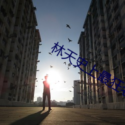林天史(shǐ)上最狂老祖