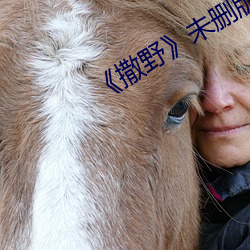 《撒野》未删版在线观看 （因难见巧）