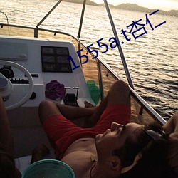 1555a.t杏仁