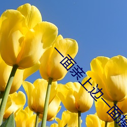 一面亲上边一面摸下边打扑 （鼻青额肿）