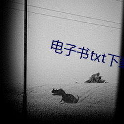 电子书txt下载 （韬略）