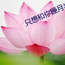 只想(xiǎng)和你睡月半喵