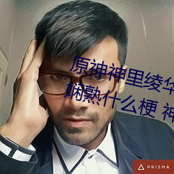 原神神里绫华ちゃんが部下を腿法娴熟什么梗 神里绫华腿法